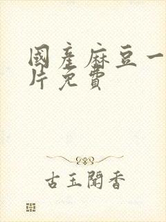 国产麻豆一级淫片免费封面