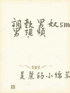 调教男奴sm男男视频