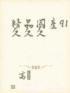 精品国产91久久久久