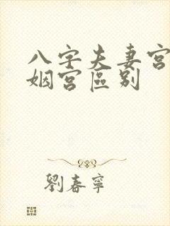 八字夫妻宫和婚姻宫区别