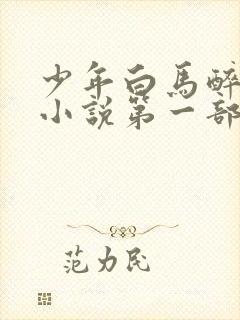 少年白马醉春风小说第一部