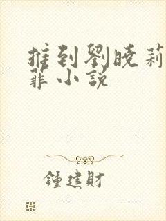 推到刘晓莉刘亦菲小说封面