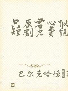 只原君心似我心短剧免费观看全集