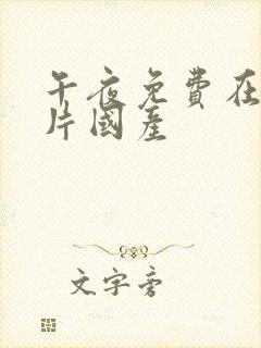 午夜免费在线看片国产封面