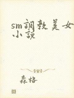 sm调教美女的小说封面