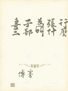 妻子为张行长第三部叫什么