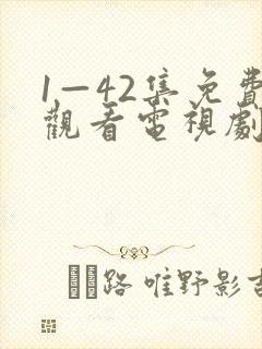 1—42集免费观看电视剧无间