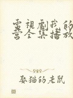 电视剧我的特一营全集播放封面