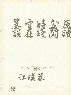 暴雪时分原著小说在线阅读封面