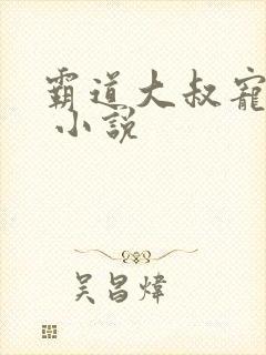 霸道大叔宠不休 小说