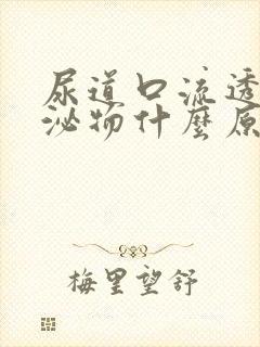 尿道口流透明分泌物什么原因男性