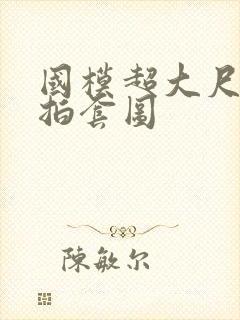 国模超大尺度私拍套图封面