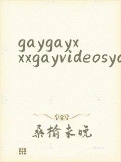gaygayxxxgayvideosyaoi封面