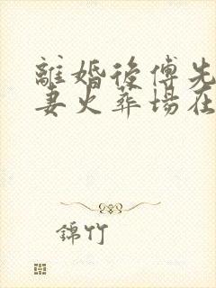 离婚后傅先生追妻火葬场在线阅读封面