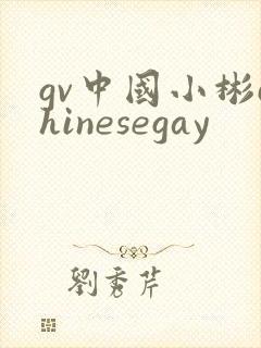 gv中国小彬chinesegay