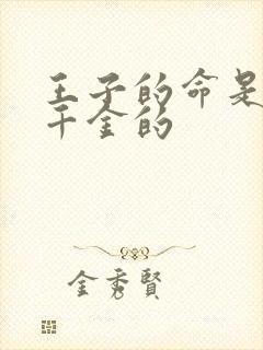 王子的命是恶役千金的