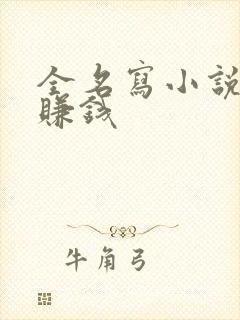 全名写小说怎么赚钱