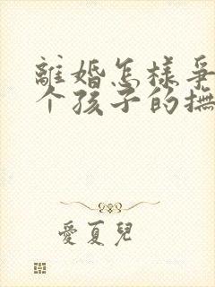 离婚怎样争夺两个孩子的抚养权