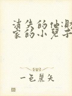 消失的他:财阀家的小儿子