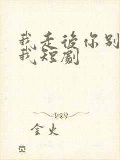 我走后你别再想我短剧封面