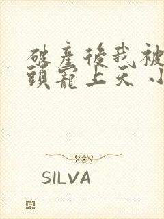 破产后我被死对头宠上天 小说