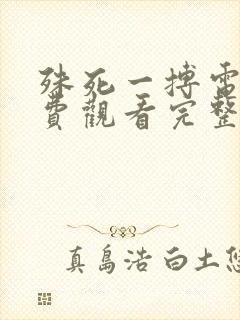 殊死一搏电影免费观看完整版封面