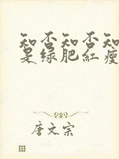 知否知否知否应是绿肥红瘦原著