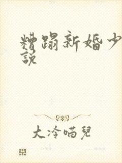 糟蹋新婚少妇小说