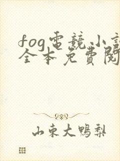 fog电竞小说全本免费阅读