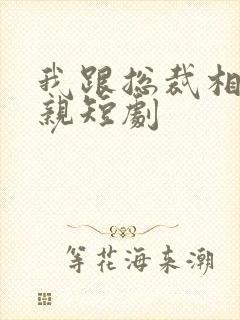 我跟总裁相了个亲短剧