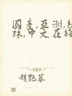 国产,亚洲,丝袜,中文在线封面