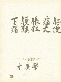 下腹胀痛肛门胀痛想拉大便又拉不出来难受