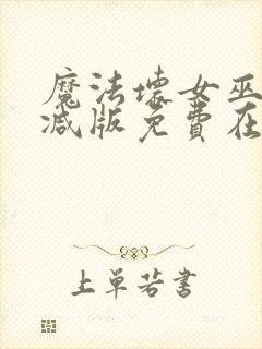 魔法坏女巫未删减版免费在线看封面