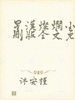 星汉灿烂小说未删版全文免费阅读