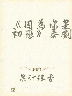 《因为你是我的初恋》泰剧在线观看