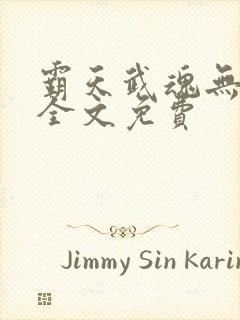 霸天武魂无弹窗全文免费封面