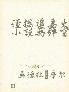 渣总追妻火葬场小说无弹窗