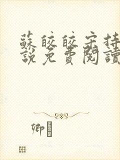 苏皎皎宋持的小说免费阅读