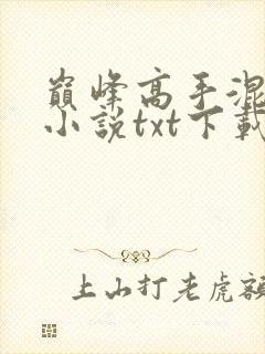 巅峰高手混花都小说txt下载
