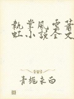 执掌风云萧峥陈虹小说全文免费阅读封面