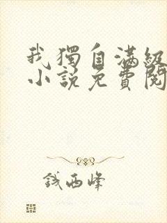 我独自满级新手小说免费阅读封面