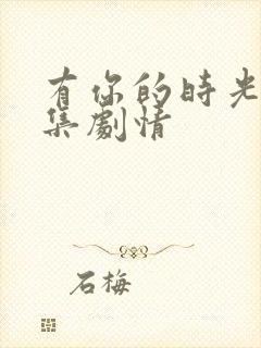 有你的时光里分集剧情