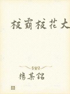 校霸校花大结局