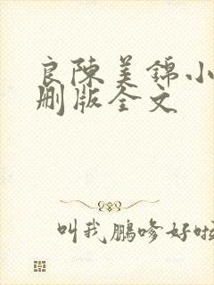 良陈美锦小说未删版全文封面