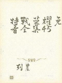 特战荣耀免费观看全集45