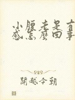 小腹老是有坠胀感怎么回事封面