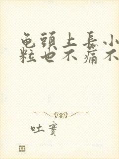 龟头上长小肉颗粒也不痛不痒