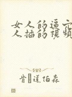 女人的逼穴被男人插的视频