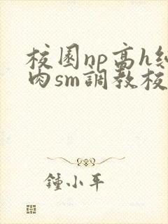 校园np高h纯肉sm调教校花