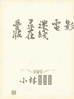 爱寻迷电影完整版在线